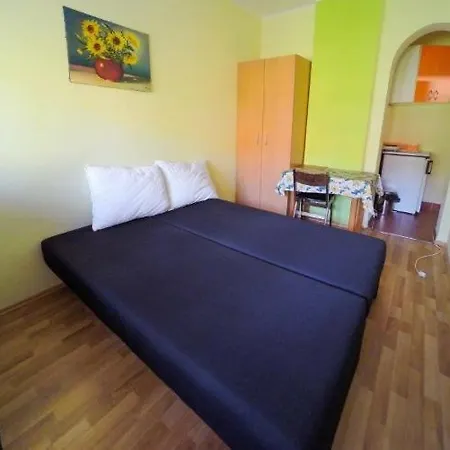 Apartment Gajic Soko Banja