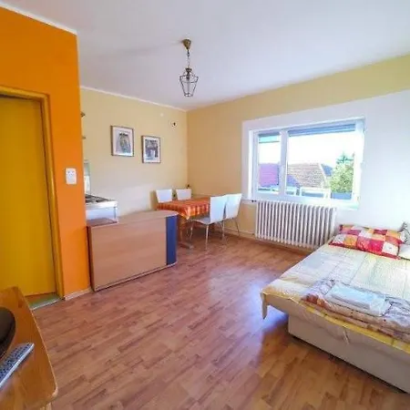 Gajic Apartment Soko Banja