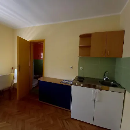 Apartment Gajic Soko Banja